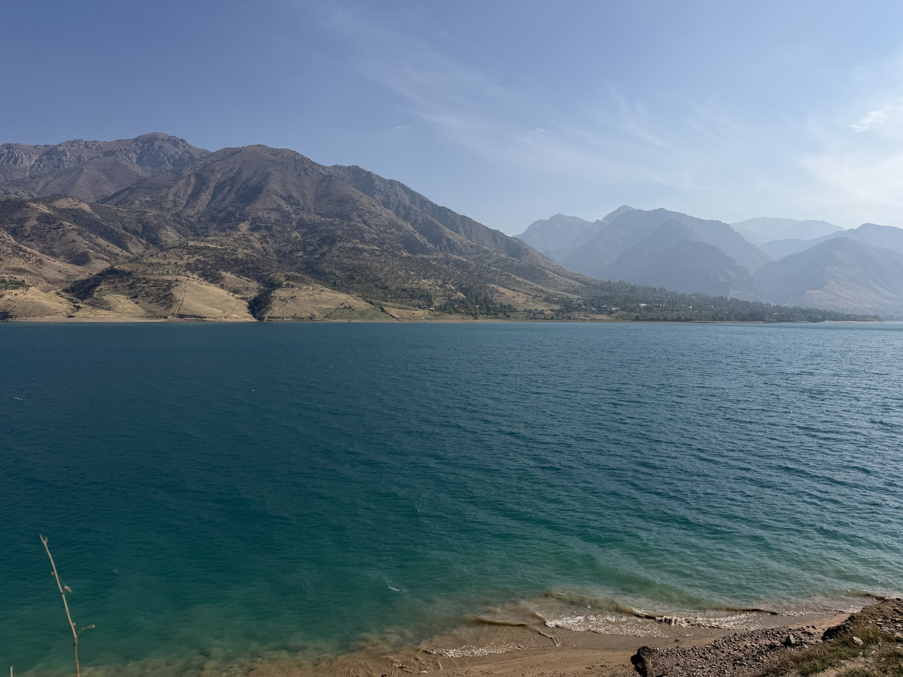 IMG-7776.jpg