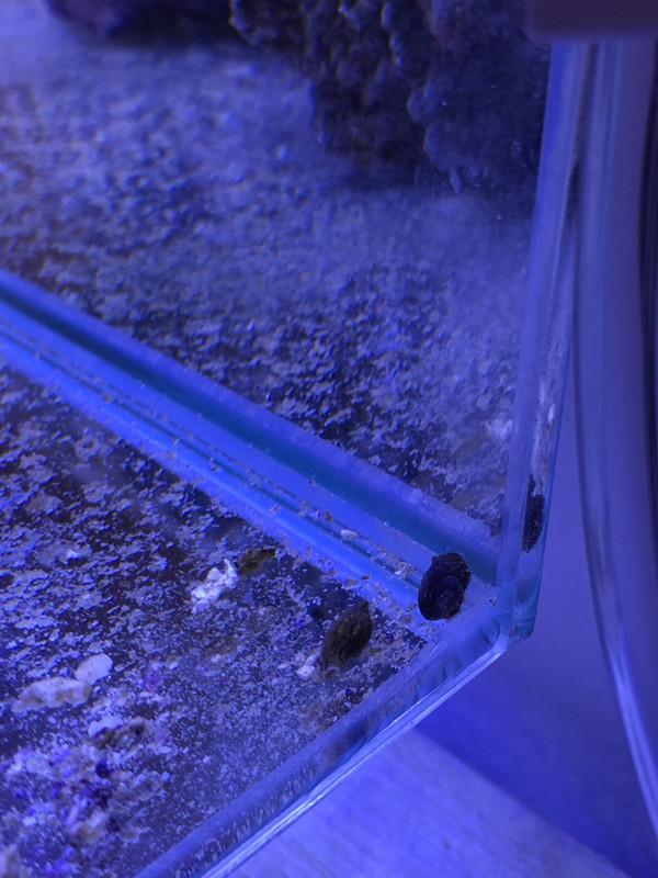 9622B2CF-480F-4A90-A099-67DC7AB9FDFF