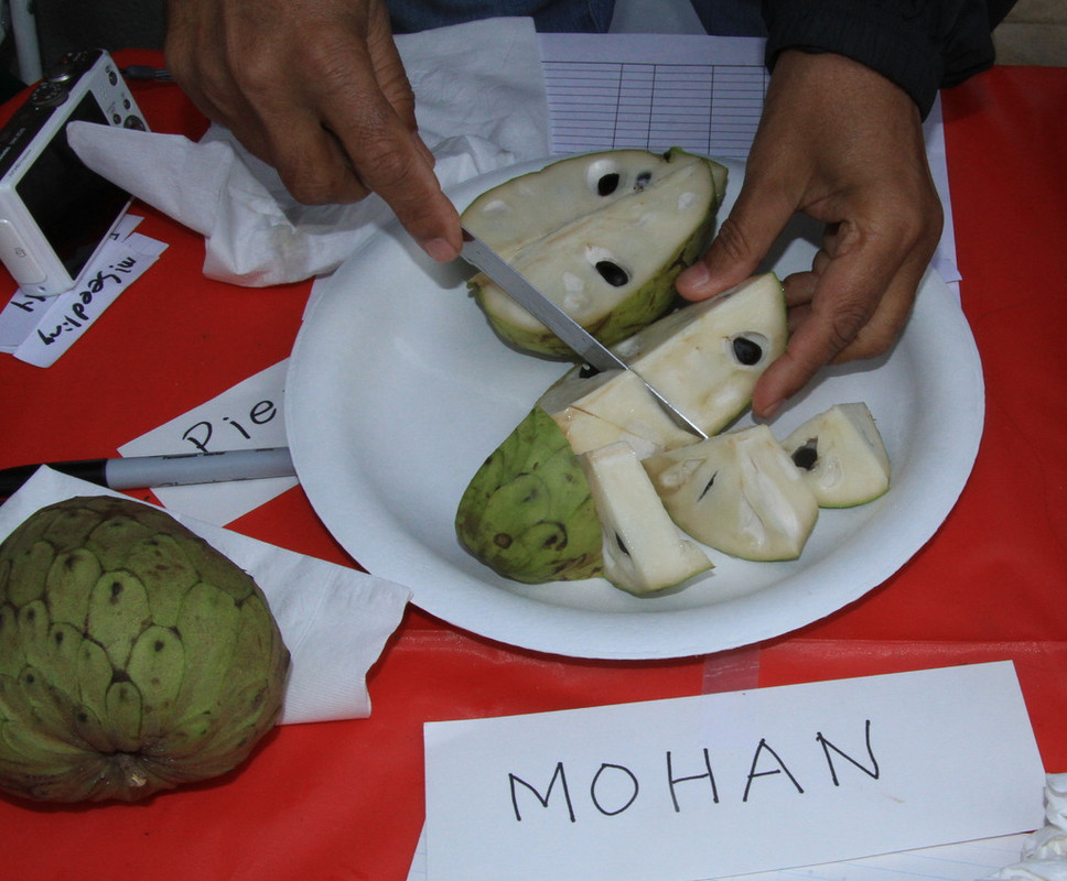 Mohan