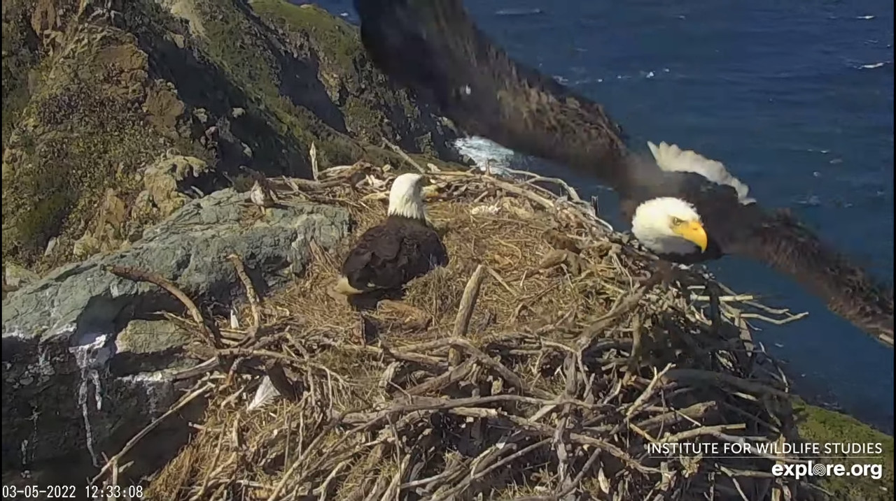 A8DA77B3-1BDE-4A47-AAFF-CC43BDE044F2