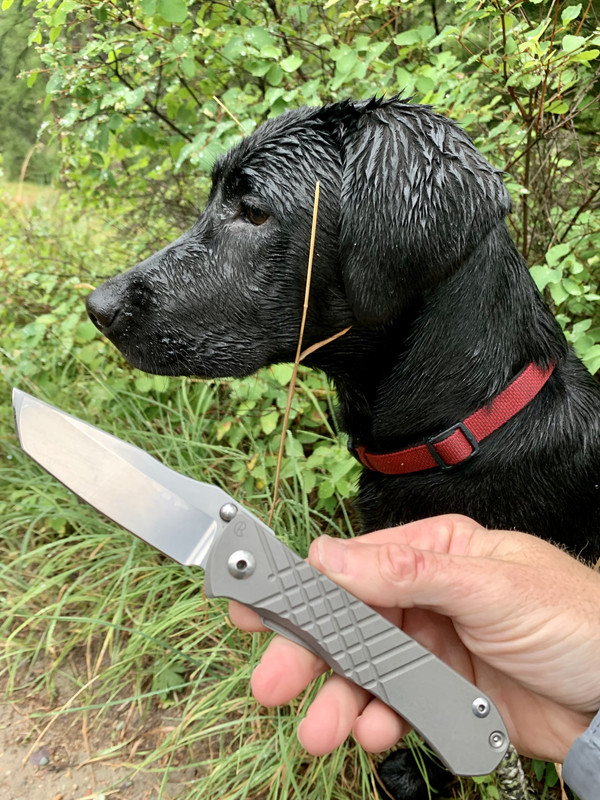 A5267D5D-AF25-4193-885B-726CECFD4965