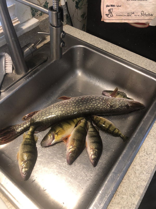 5300AAD4-E616-4C3B-A961-DA07AD0E683B