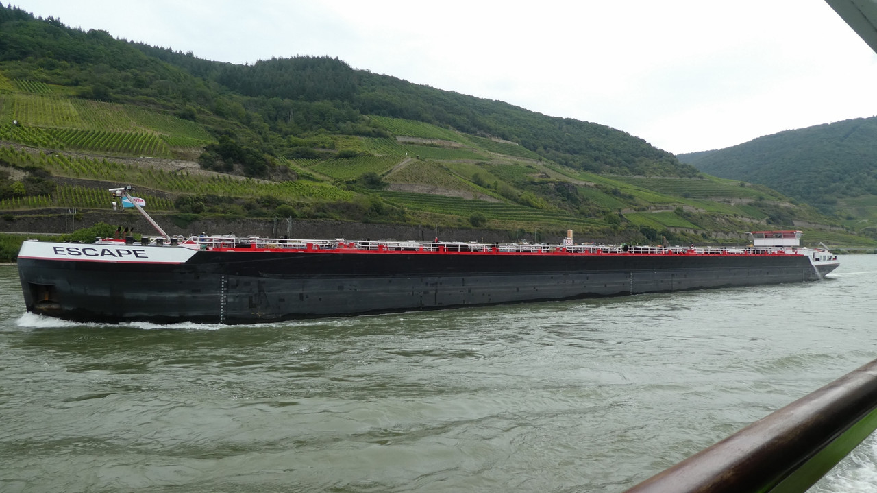 P1150356 (1940x1090)