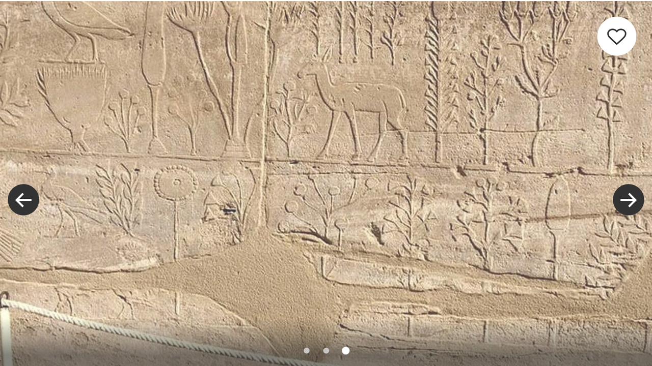 5842E459-9C7A-4E8F-BD1C-31849A870783