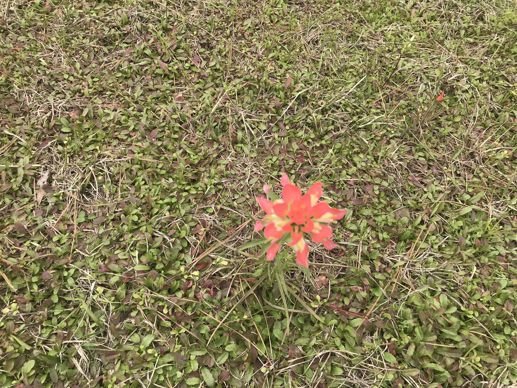 C704FD67-AB60-44BC-A481-B98615C6B29A