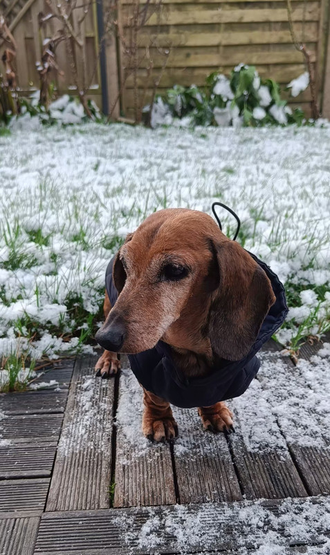 [Image: IMG-20251225-093507.jpg]