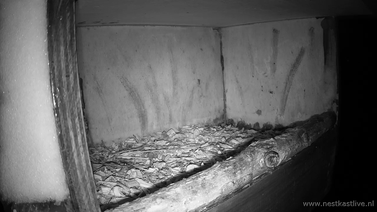 TV NKL 2 sneeuw hangt a d zijkant ZW of