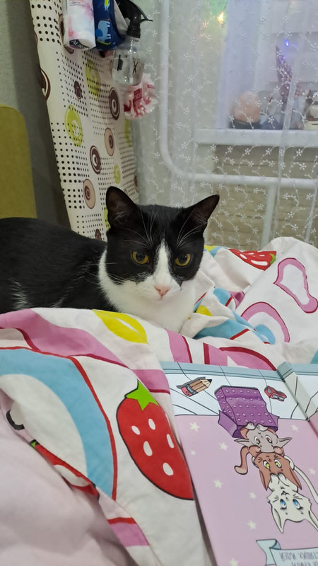 E4C871B8-6A34-45B6-8F64-399D06014DF3