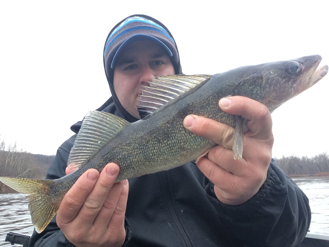 807A6724-EDD5-456C-8EC7-4D08106364F1