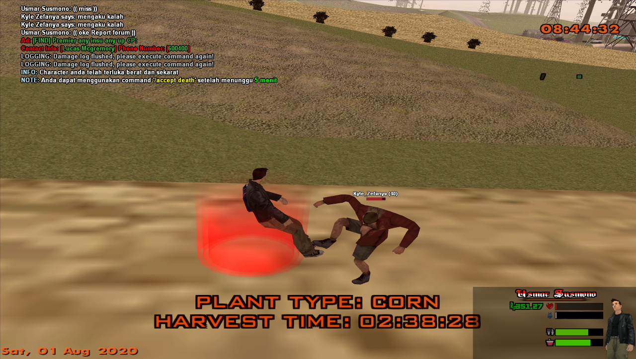 report-1.png