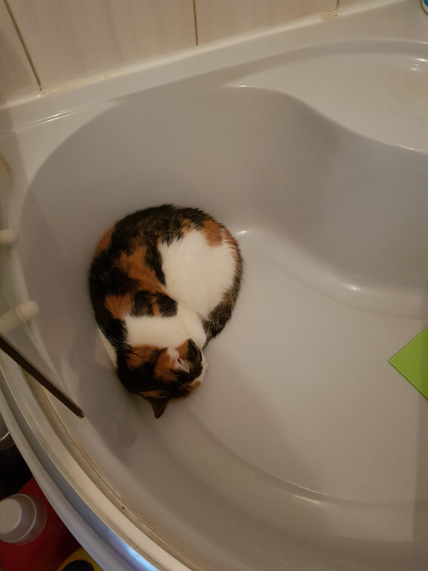 vartotojo kelta nuotrauka