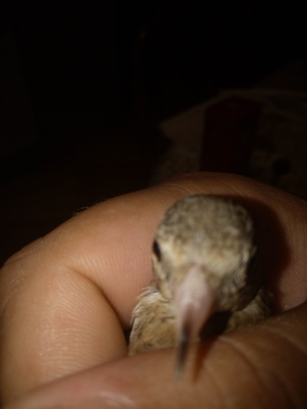 IMG20180915175609