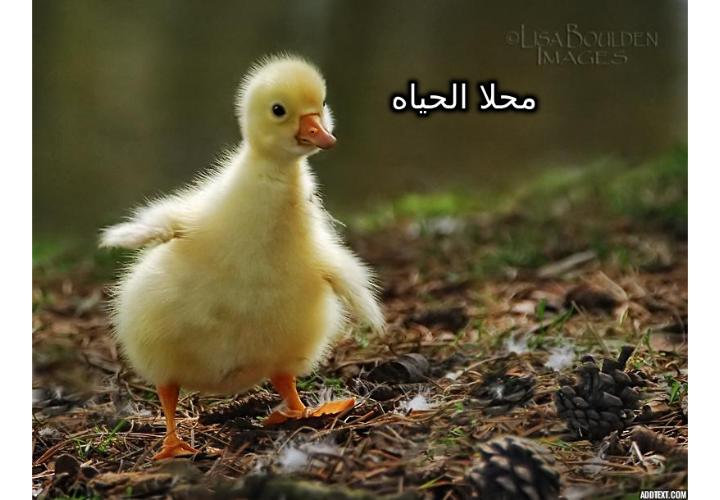 ���� ���� ������ �� ���� ������