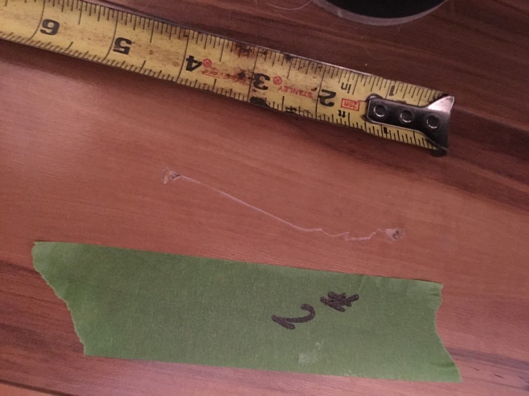 D53762BF-F8F5-4B01-ABA5-C73C9B7C5AF5