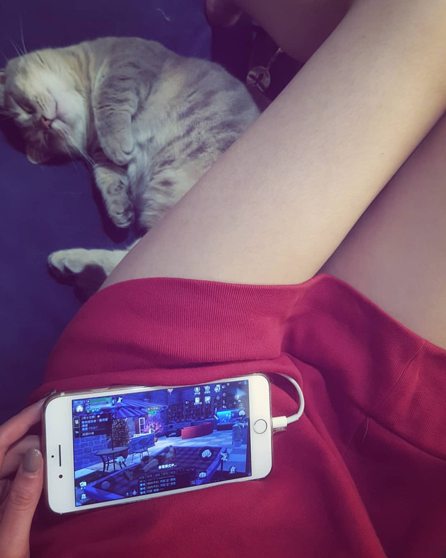 2019-02-14 04.42.37 1978625462680596983_294744126