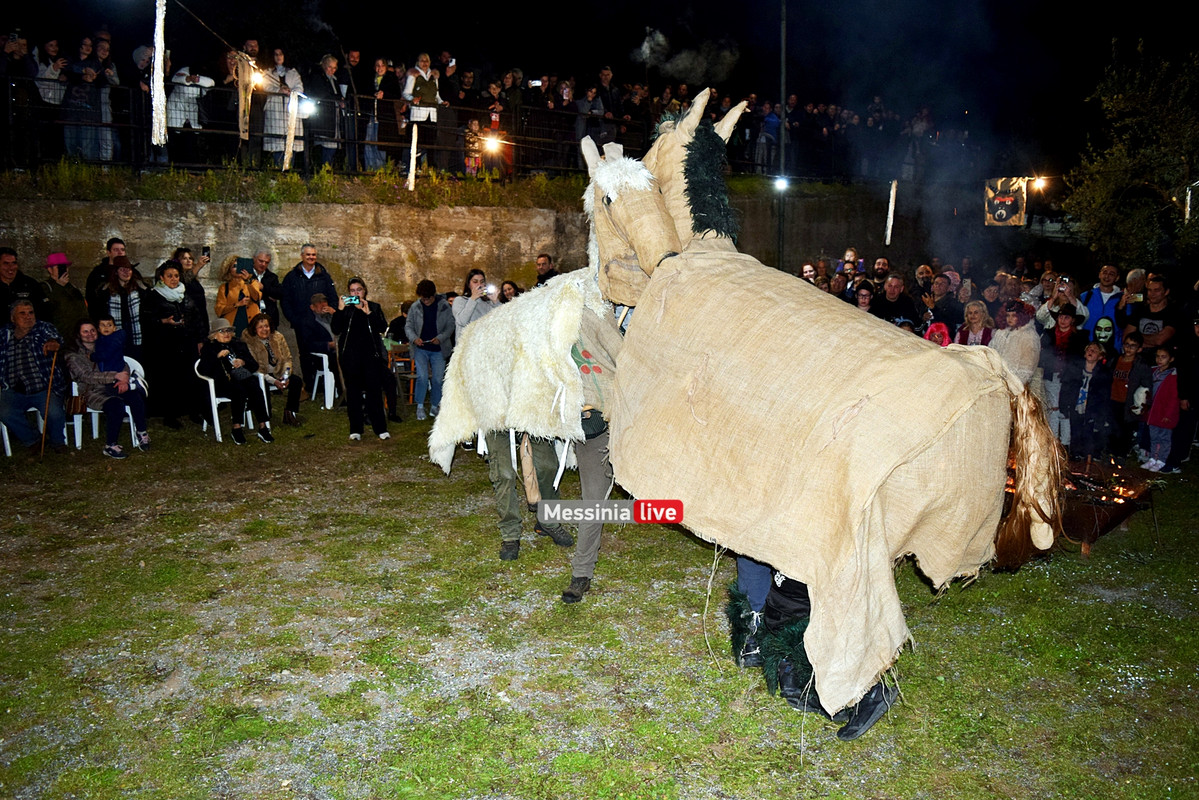 ελαιοχωριDSC_0657