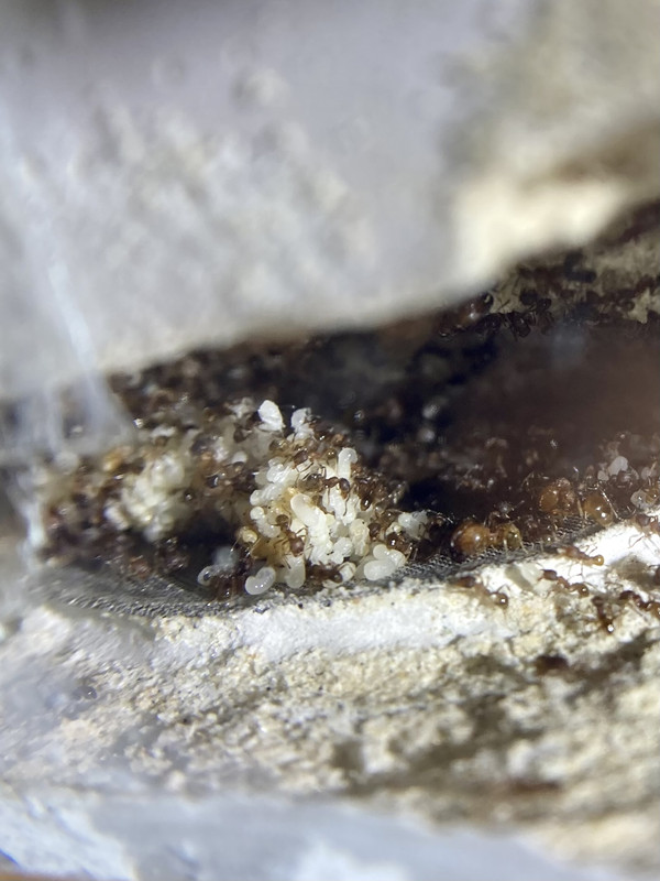 31F1BA33-0F1E-4780-8E8C-4FF7BE39D57F