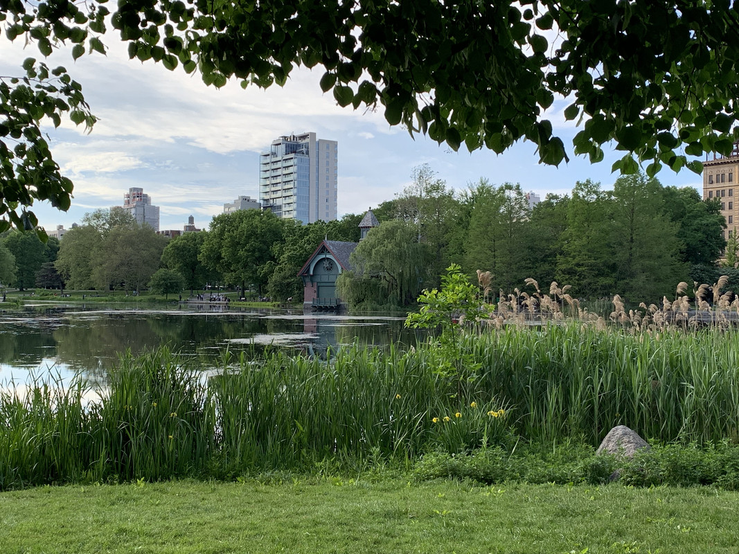 56CF9FF1-D5EA-4641-9B7D-D05AFEEE883F