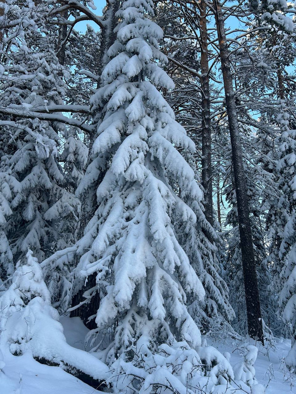 IMG_20231203_094006_516