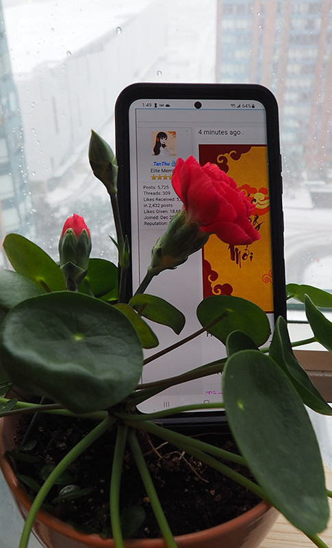 [Image: P1250017.jpg]