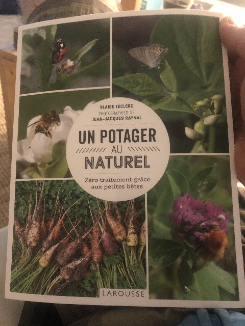 429AFA81-C5D8-4A52-8761-975A0B46229E