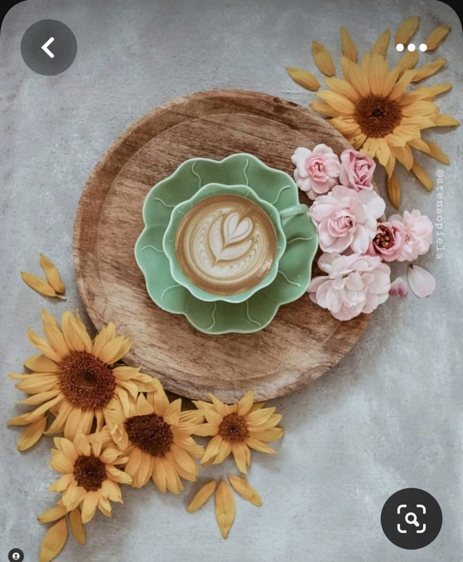 Screenshot_20230615_224300_Pinterest