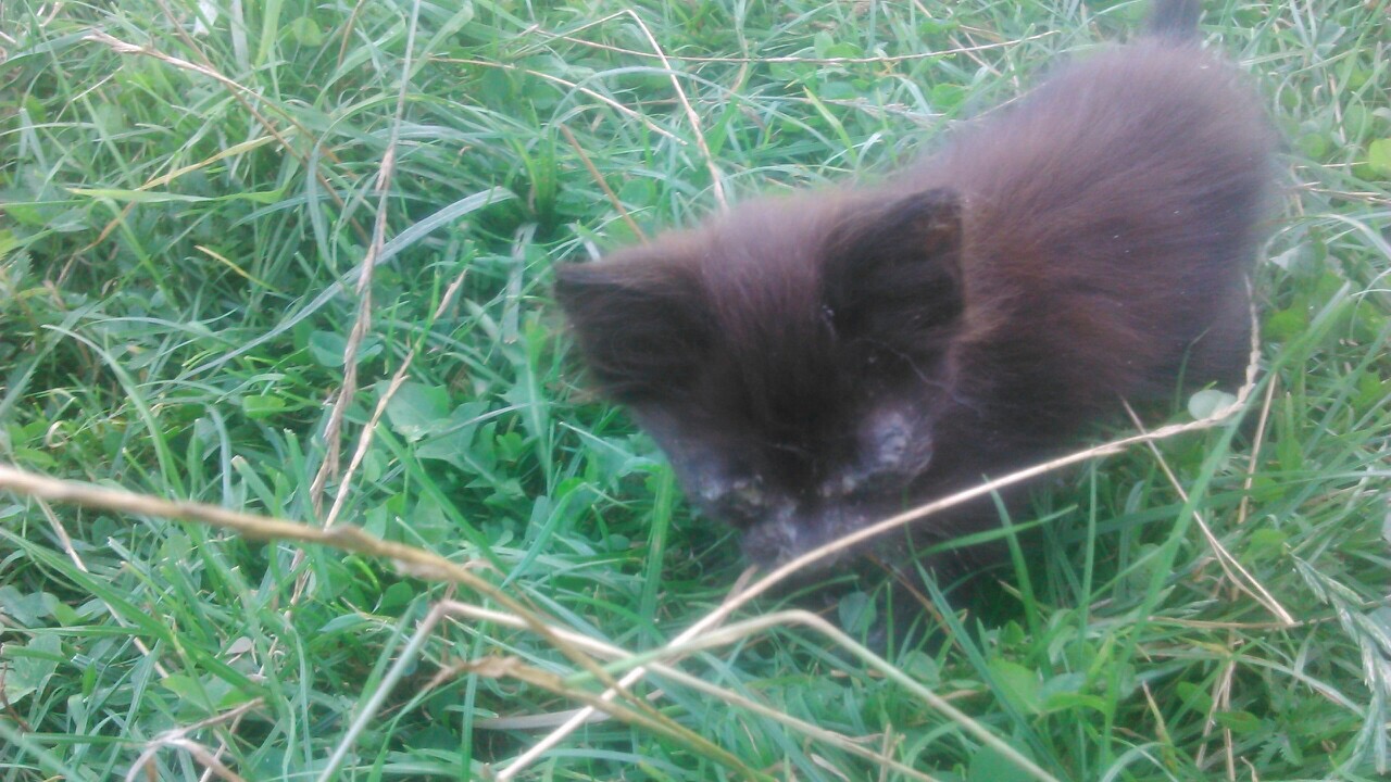 21264DC5-92F3-4AB6-A6DD-507AEC45FEAB