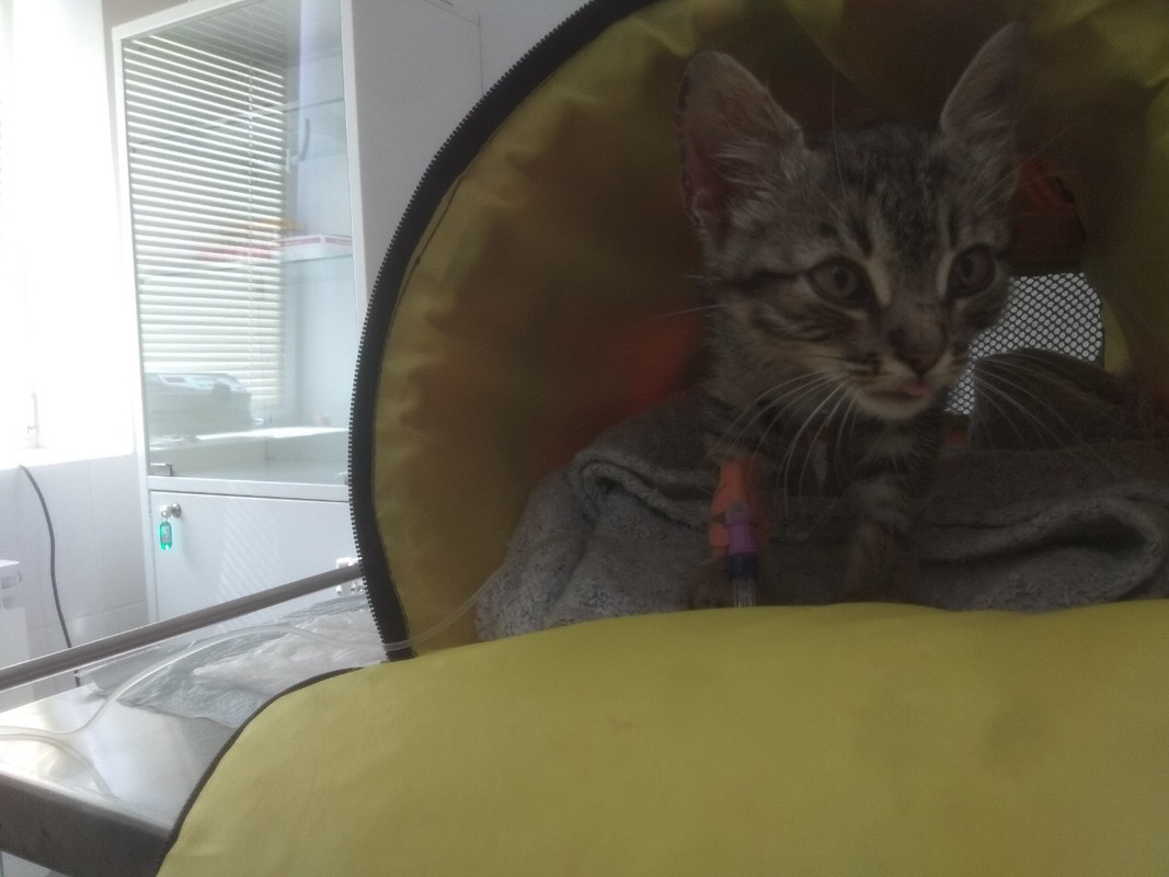 CEBB2B18-4460-4FE9-9213-24A1591CE4E9