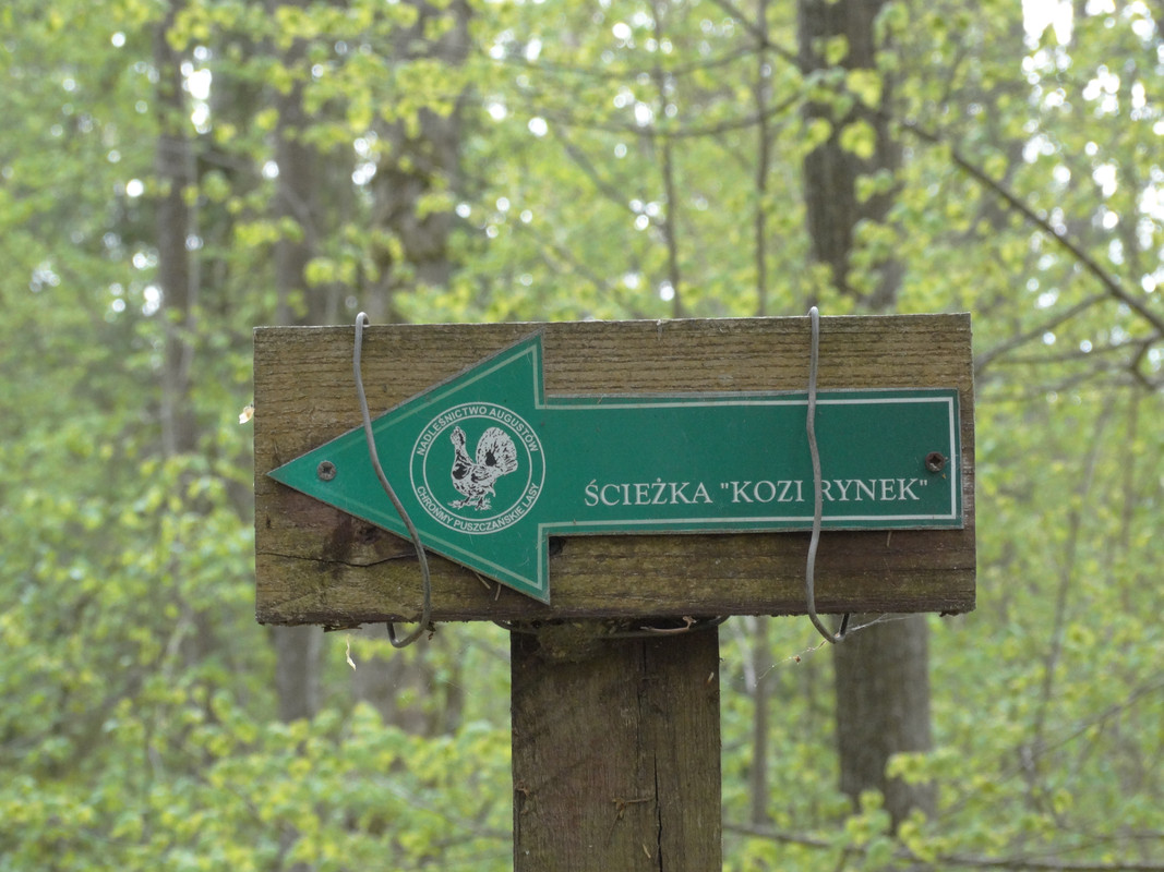 12.11 - DSC09575 (Czesio1)