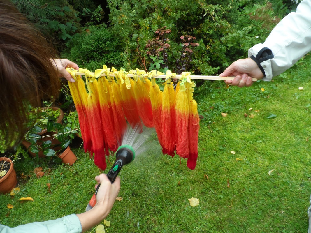 E3D0C671-A7FA-4AC4-AA32-3F6FAAE18449