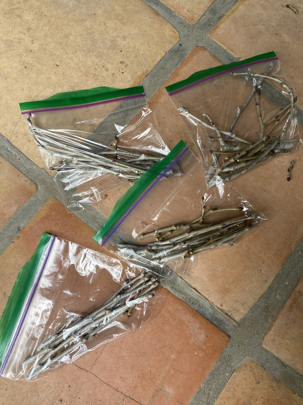 AC0BA112-A32E-4B74-92FA-84F0830427B7