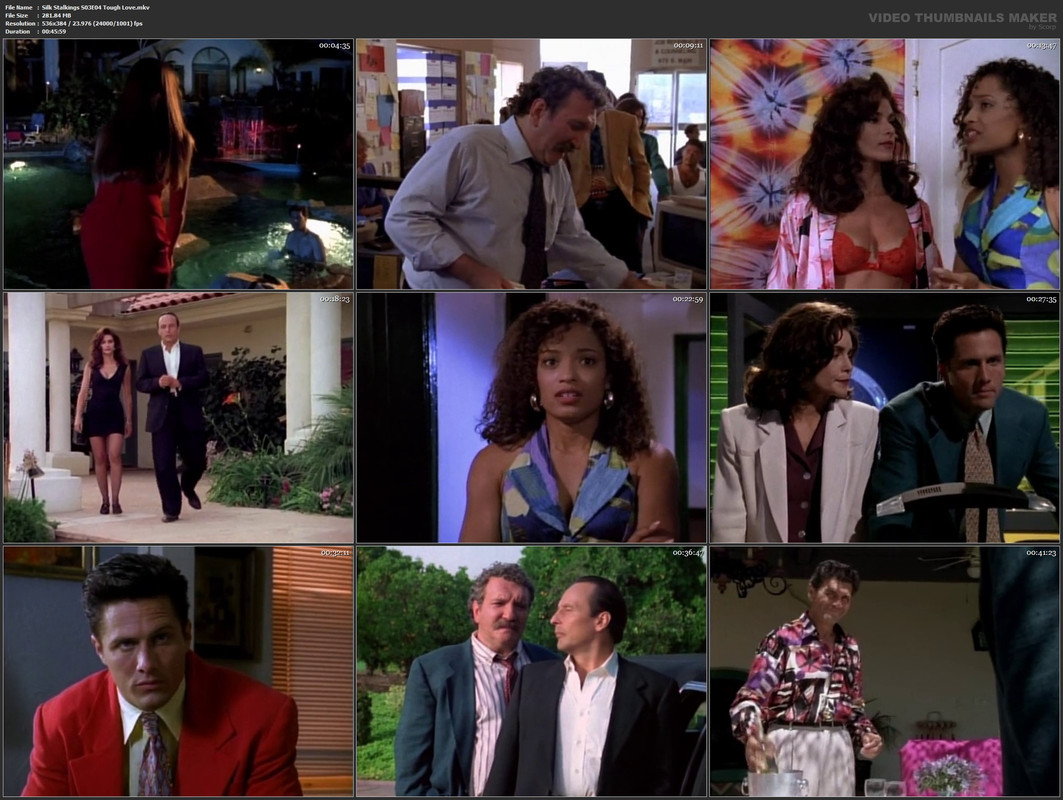 Silk Stalkings S03E04 Tough Love.mkv