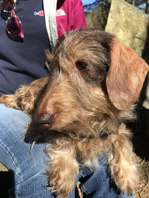 [Image: AD0-FA5-CB-3085-4716-812-D-361143-F9-ECD6.jpg]