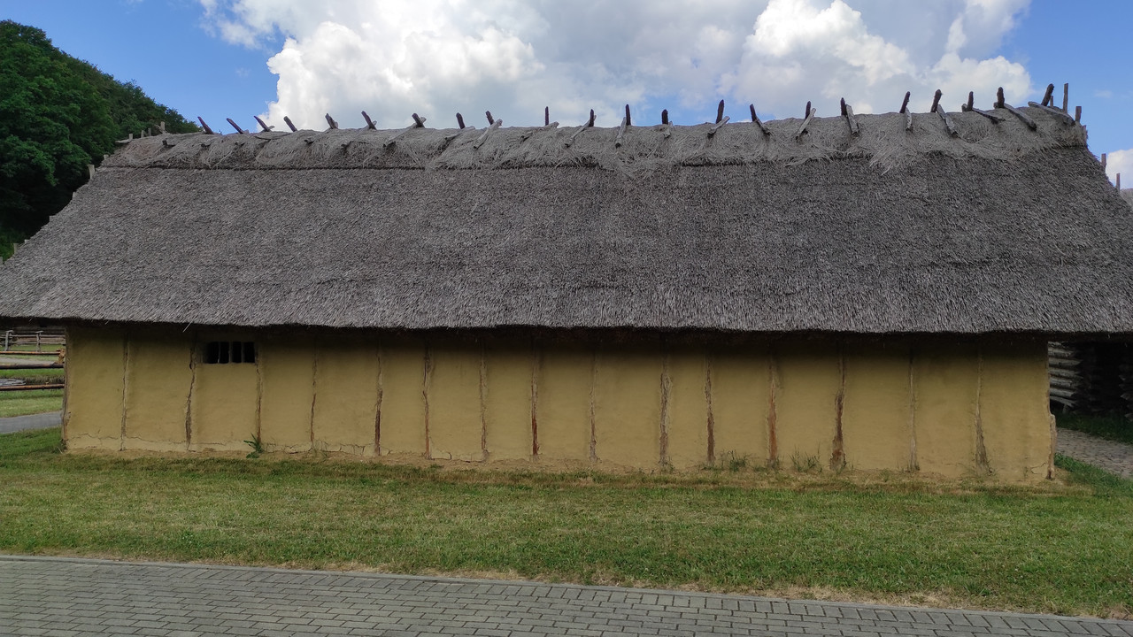 05.15 - IMG_20220617_151047 (Czesio1)