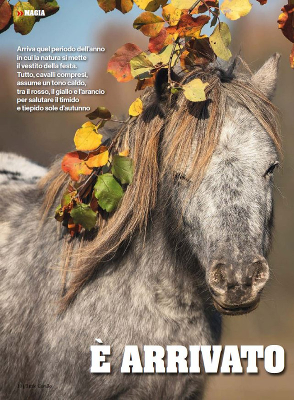 Il Mio Cav (Set-Ott 2024) 1