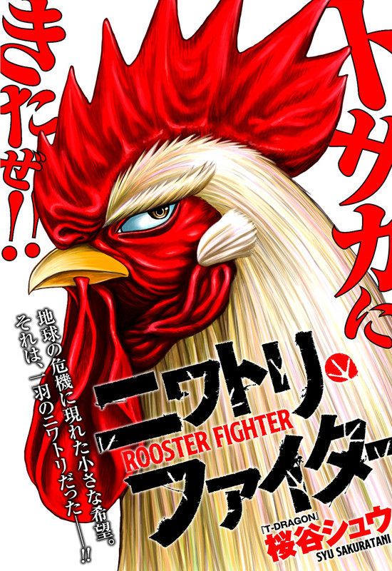Rooster Fighter Cover