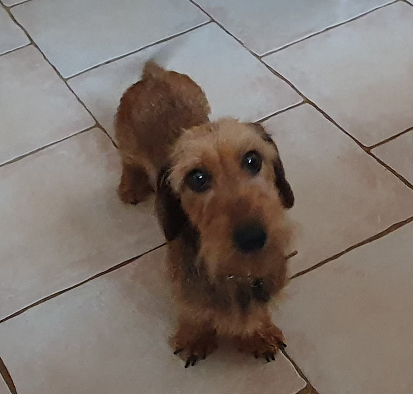 [Image: 20230609-200617.jpg]