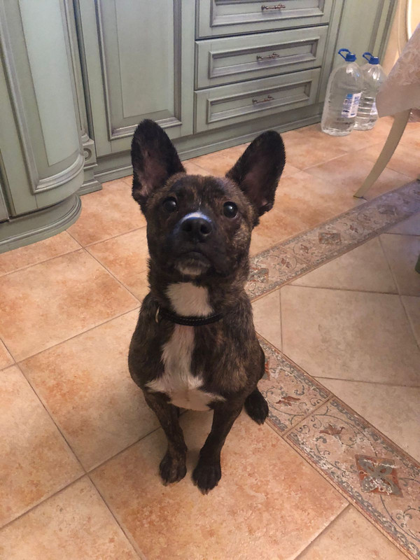 8459706C-AE35-44F7-84A7-09E0D58ACF4C