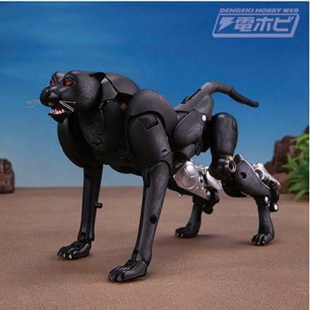 26815361_1580324882053915_8048331960331146538_n