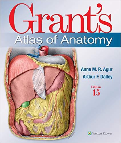 Grant's Atlas of Anatomy (Lippincott Connect), 15th Edition