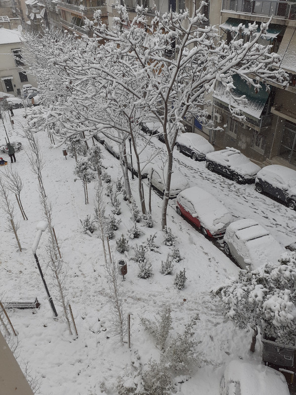 16134596235751457530960386584251