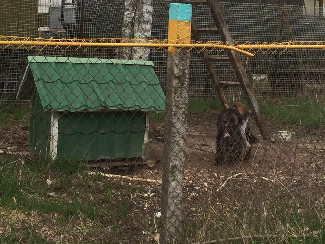 71CF5A0E-D188-4CFD-AF7F-27BBB06499CB