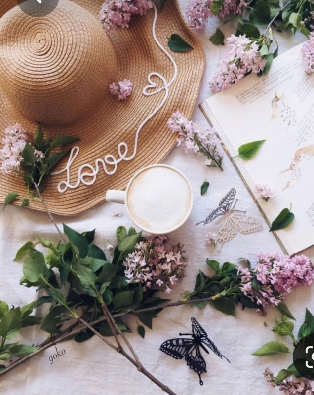 Screenshot_20230322_230925_Pinterest