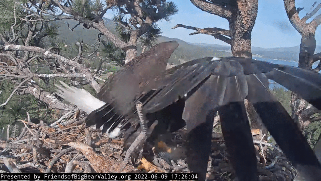 Webp.net-gifmaker (8)