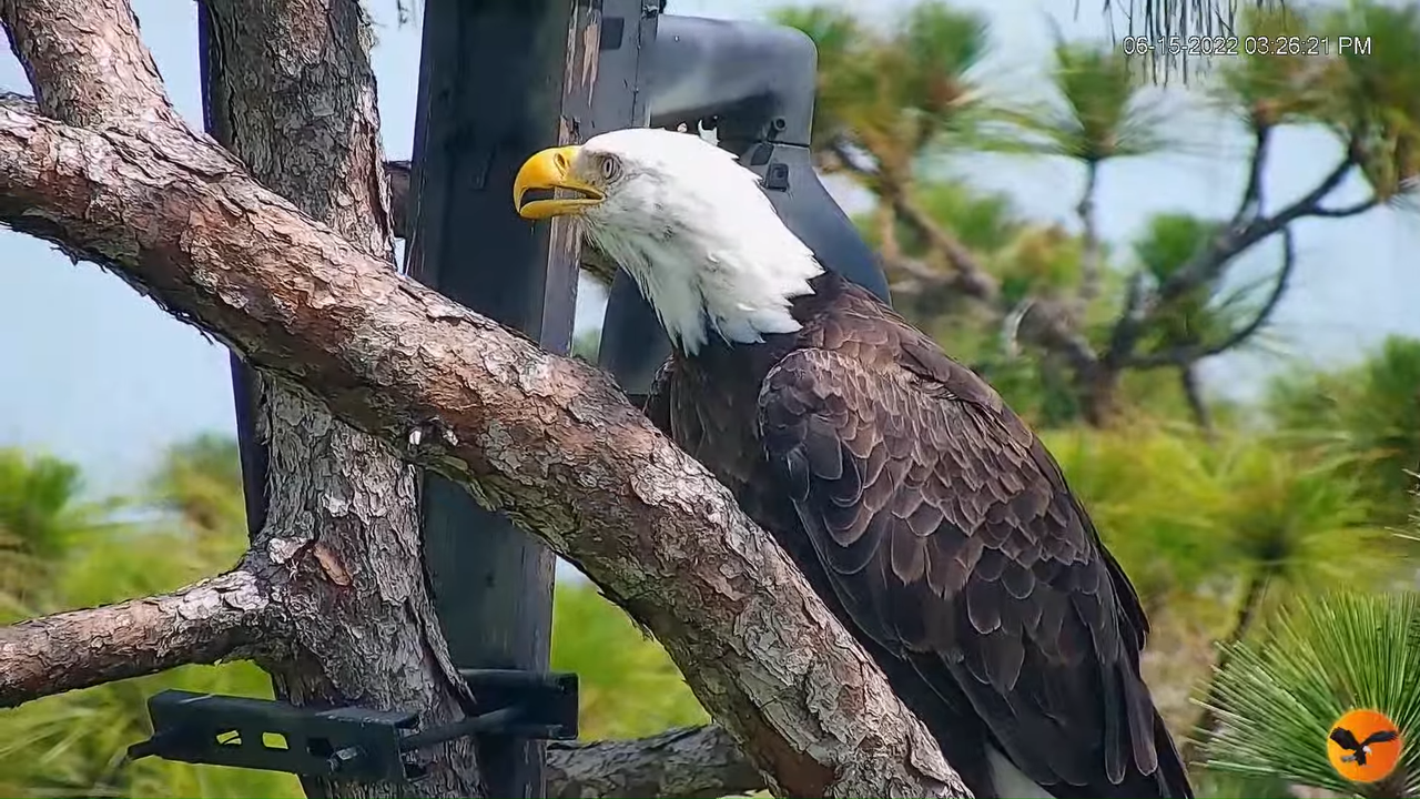 EC Remote Cam 9-20-46 screenshot (1)