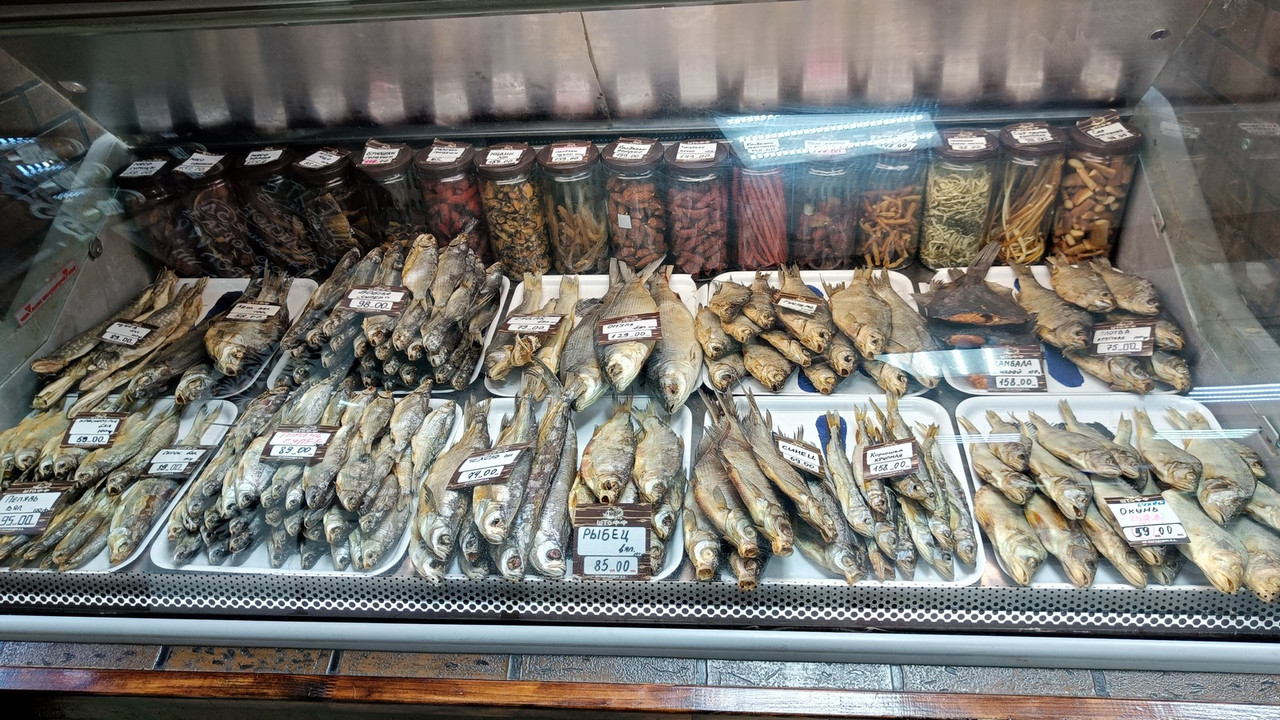 ЗАРАЙСК_2023_210