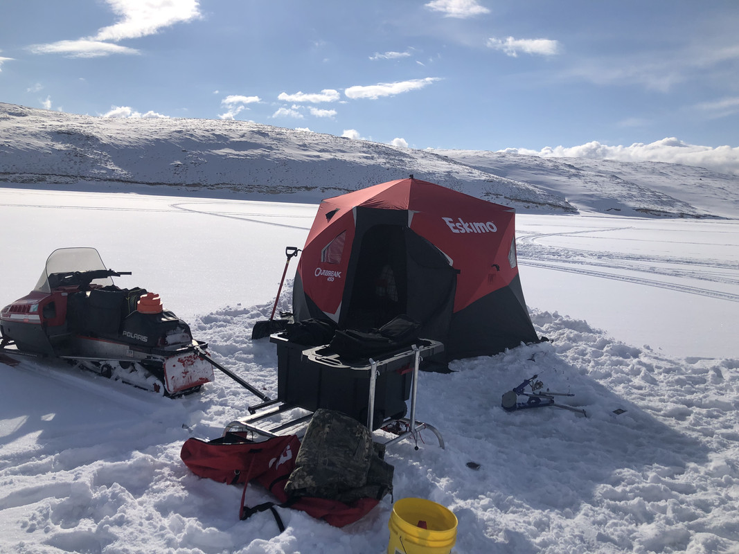 7D6A2278-4907-4DCD-904D-F06E75BE1FBB