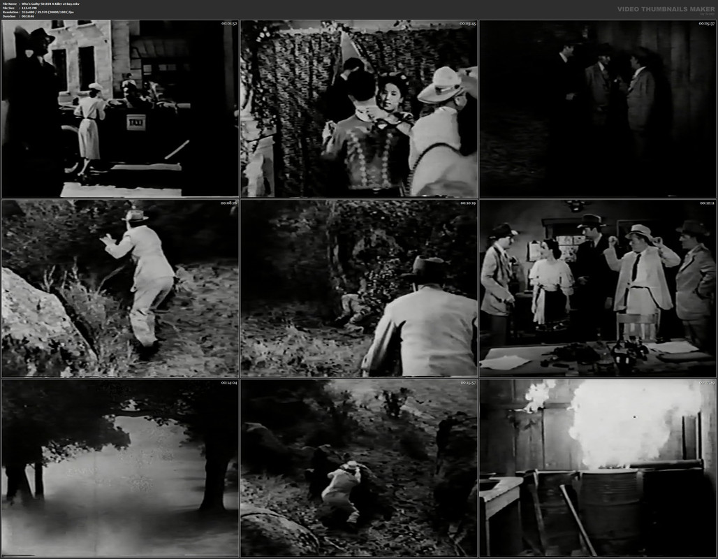 Who's Guilty S01E04 A Killer at Bay.mkv