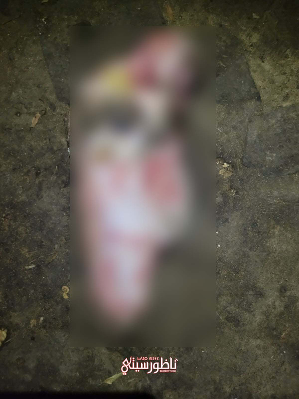 WhatsApp Image 2024-08-27 at 23.27.58 (4)