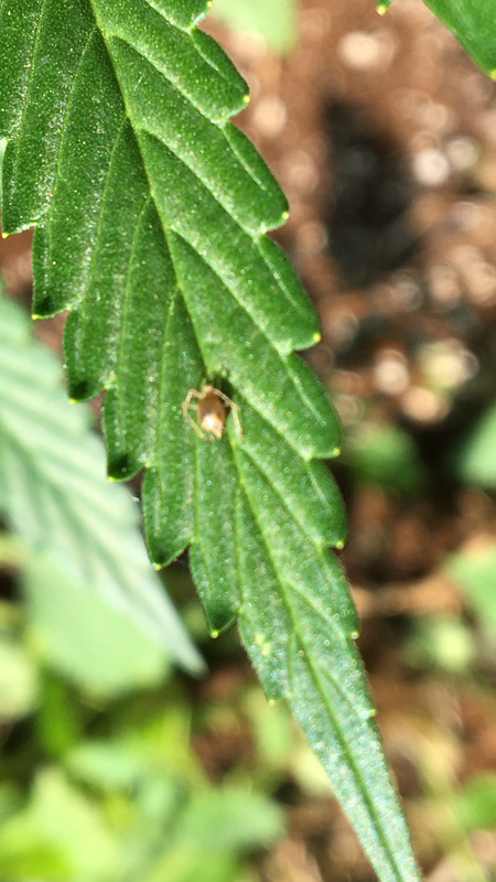 F8E90B65-102B-4E35-8F09-F8E6E5005573